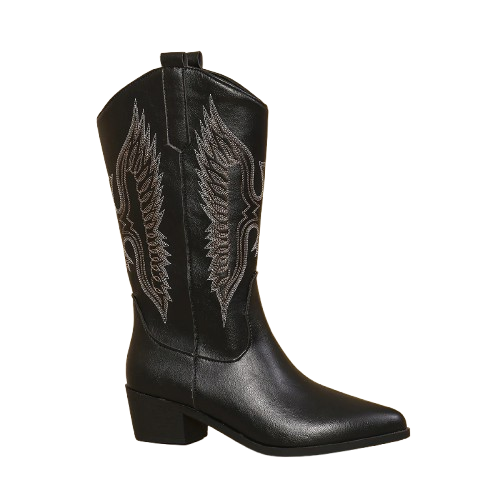 Bota Texana Bordada Cano Longo